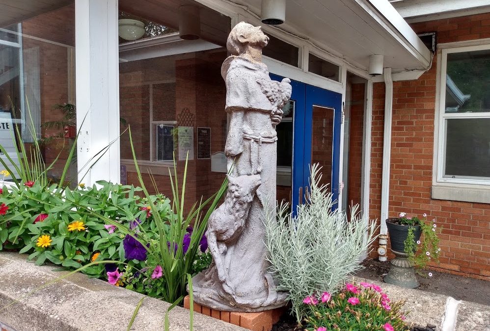 St Francis statue at the Assisi Institute