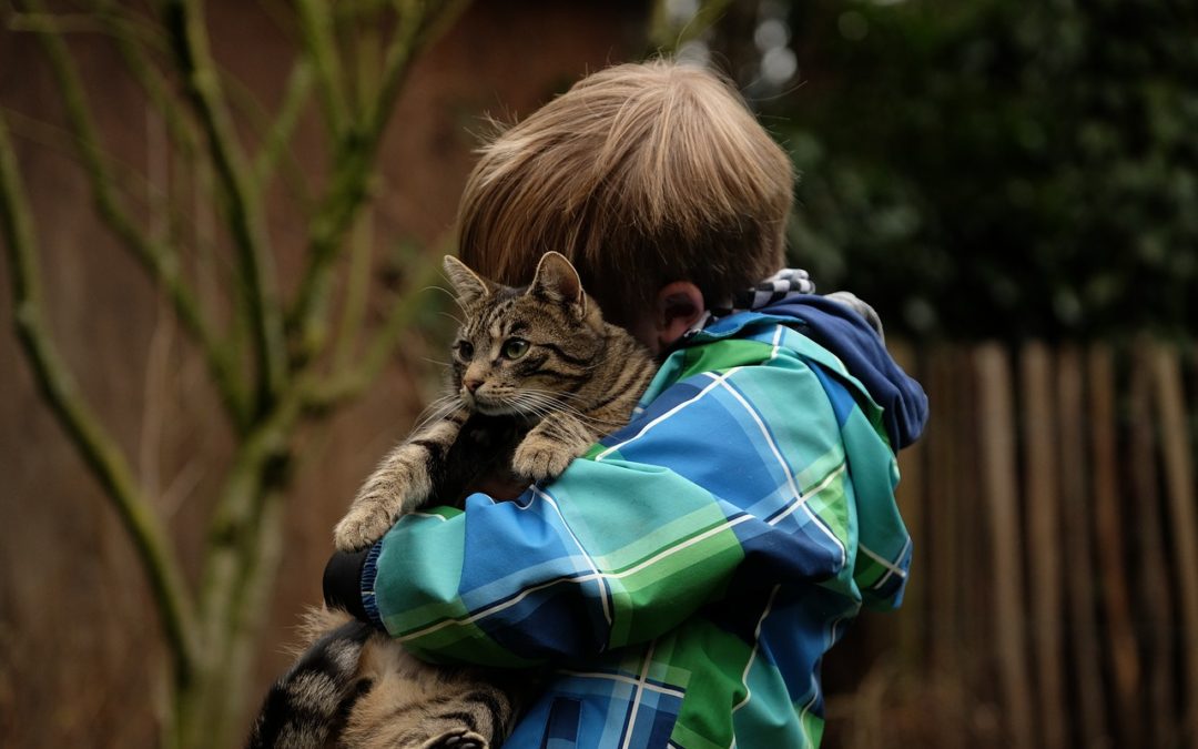 boy and cat