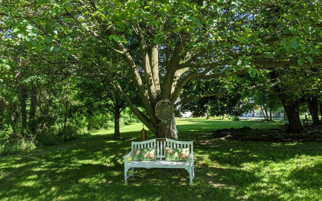 The Assisi Institute grounds