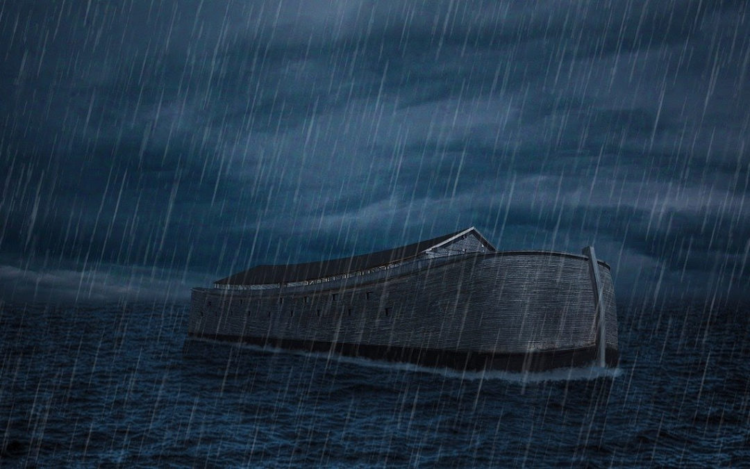 ark in storm