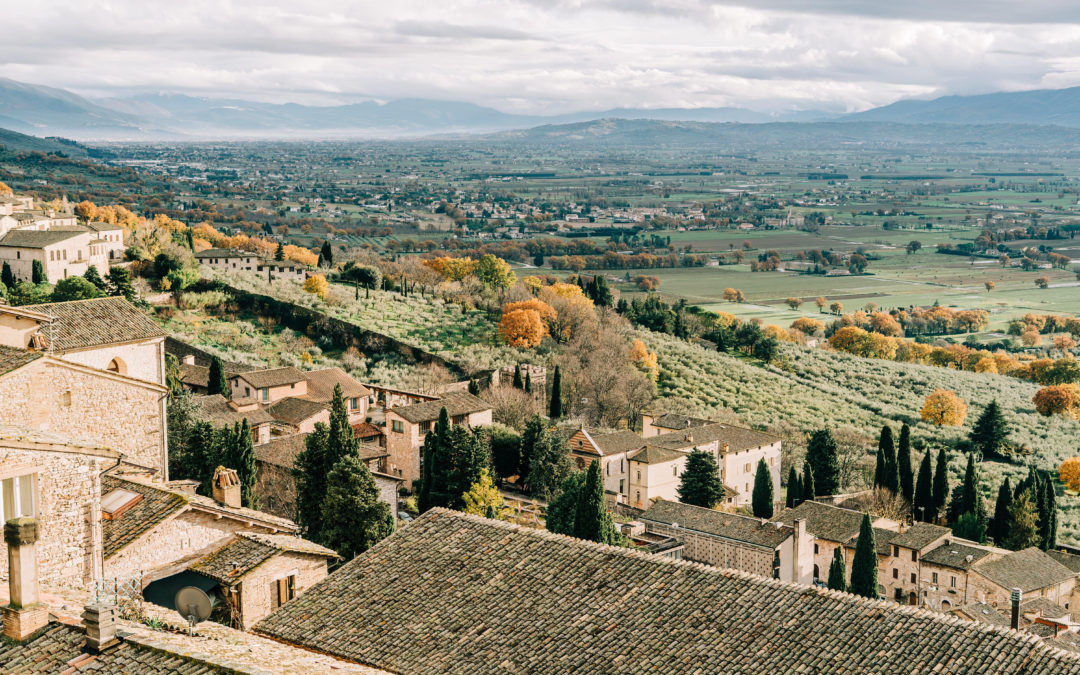 My Assisi Journal